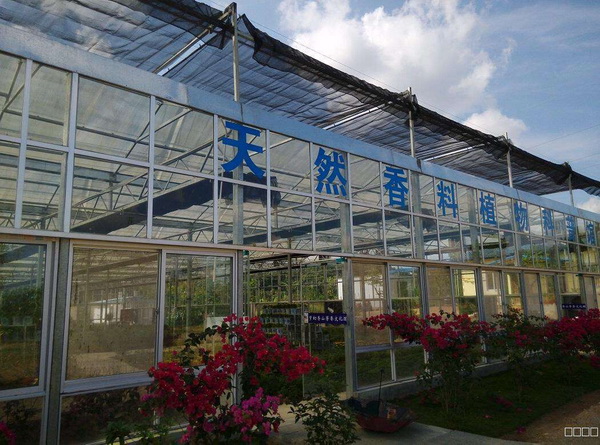 屯昌香草观光玻璃温室