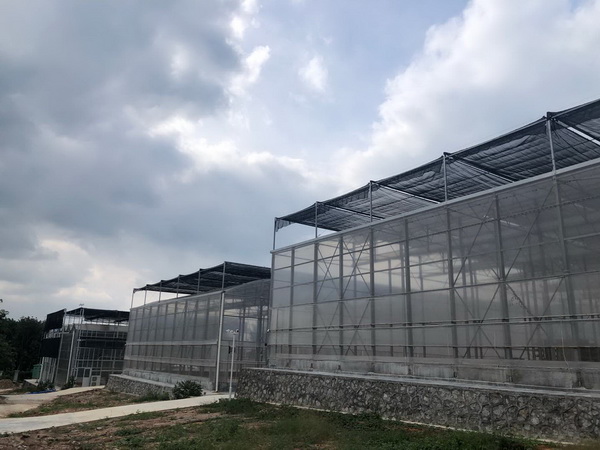 中国热科院试验站物联网温室