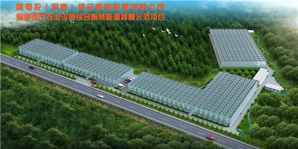 国电投光伏全智能化汽雾种植温室